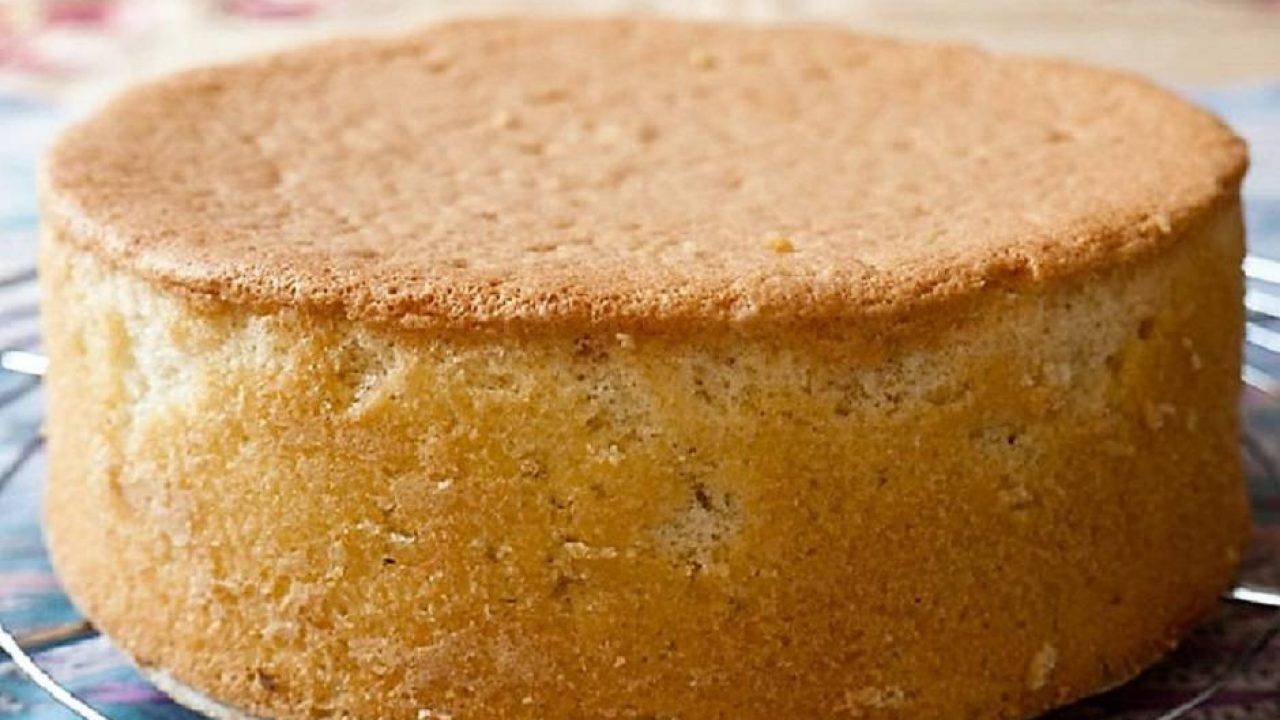 Pan Di Spagna Ricetta E Tutorial Video Per Una Perfetta Base Torta Ricettasprint It