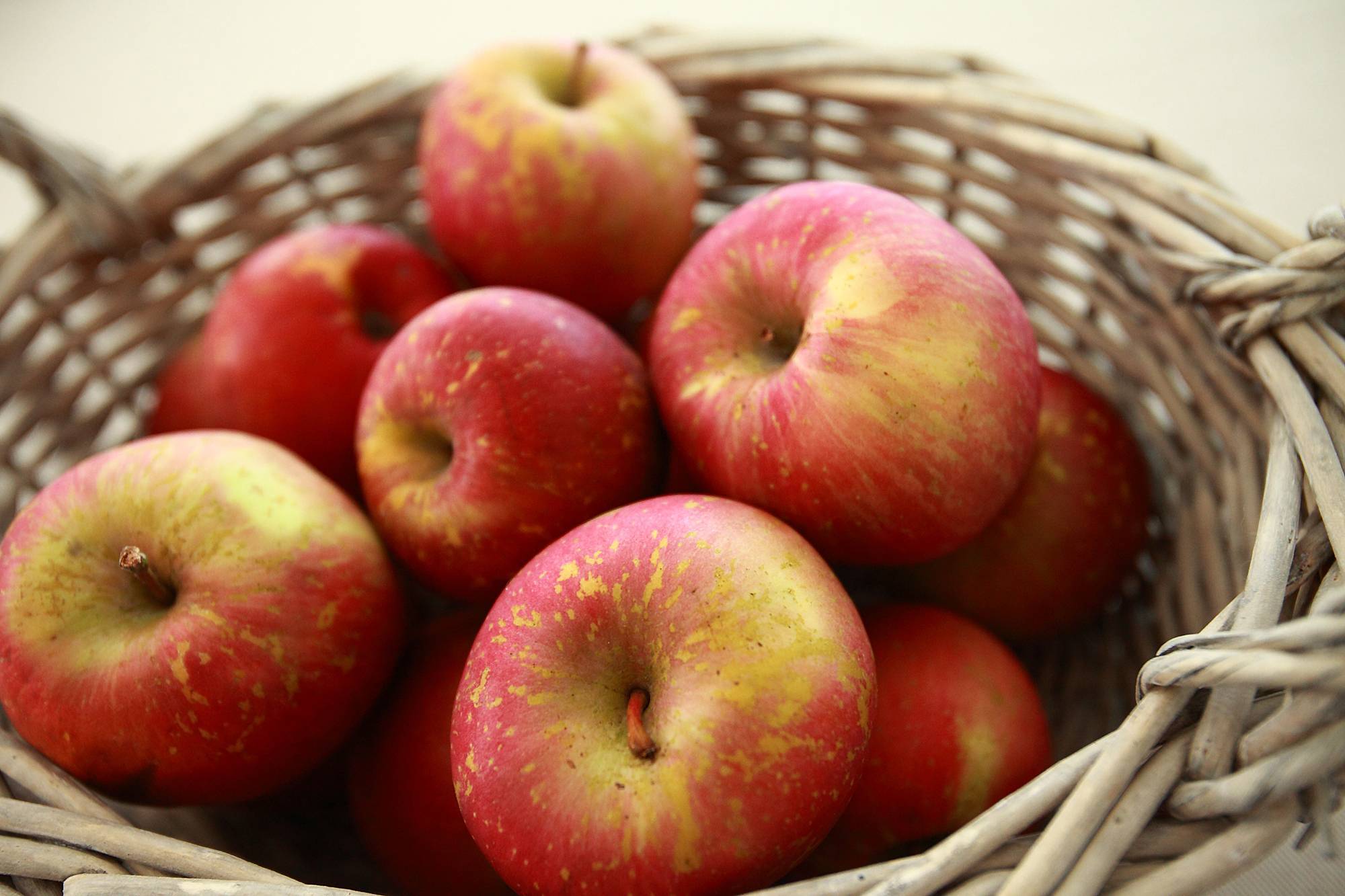 К чему снятся красивые яблоки. Яблоки. Яблоки красные. Яблоко фото. Разноцветные яблоки.