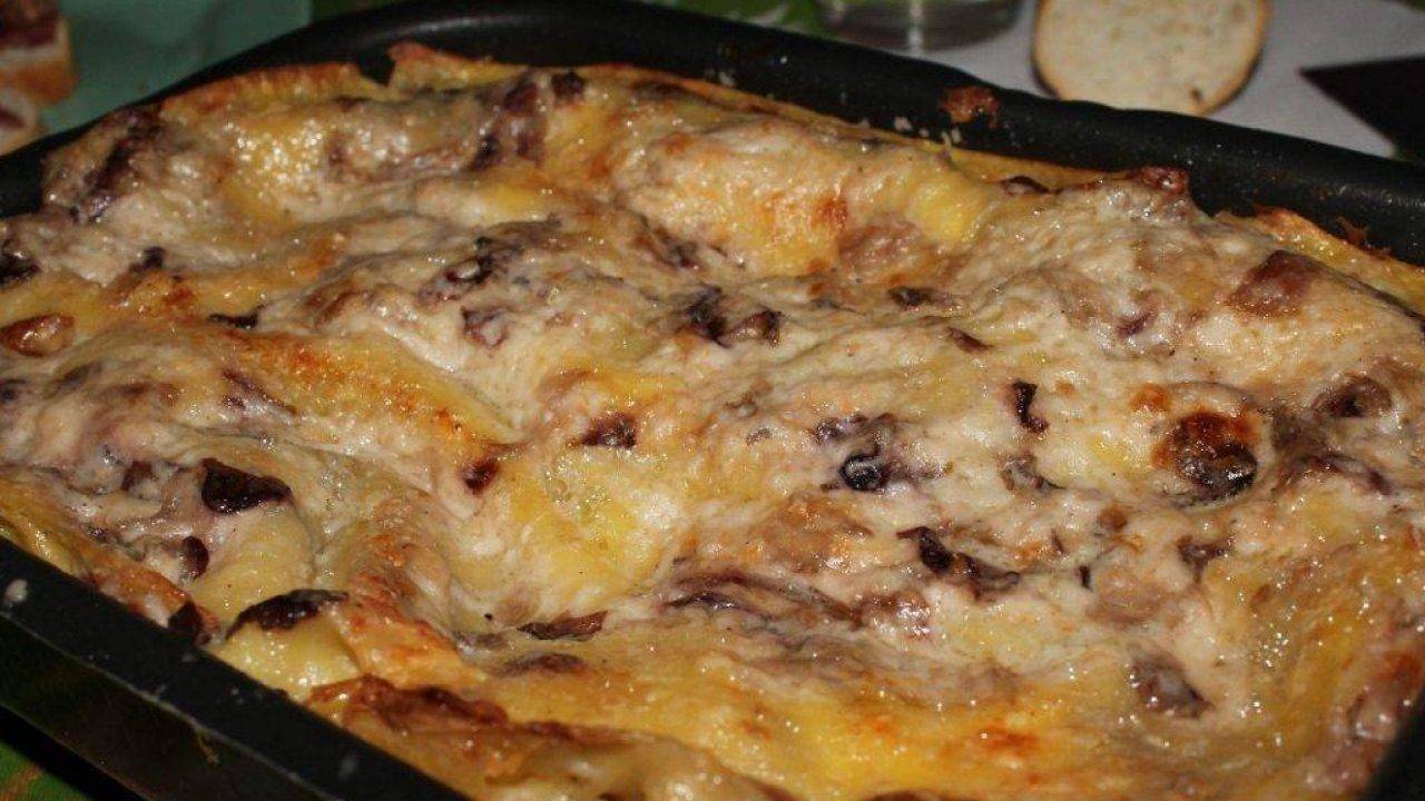 Ricetta Lasagne Al Gorgonzola E Radicchio Il Piatto Della Domenica