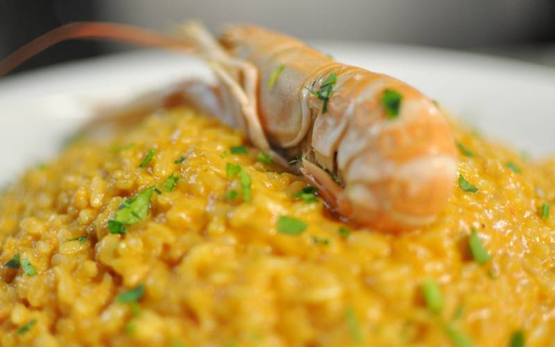 risotto alla crema di scampi