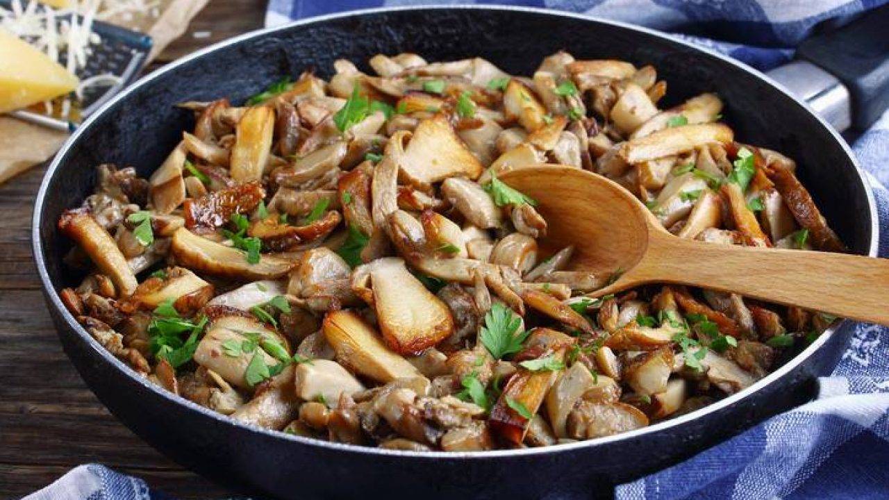 Funghi Porcini In Padella Ricetta Sprint Semplice Ed Economica