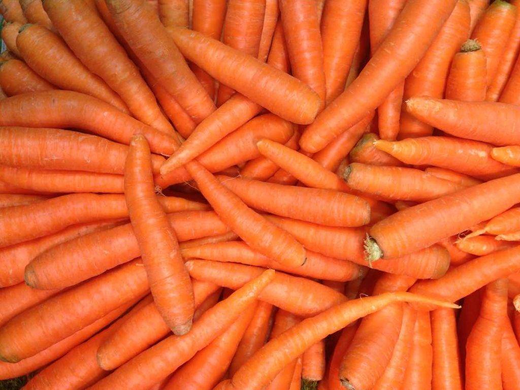 dieta delle carote