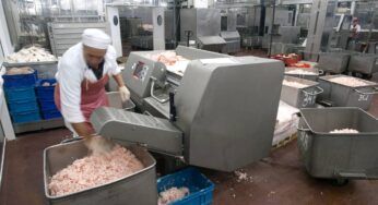 Carne separata meccanicamente: che cosa contiene?