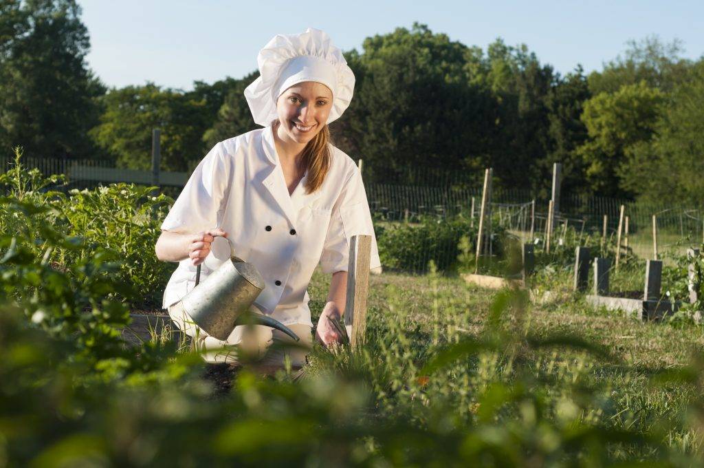 Culinary Gardener, chi c'è dietro uno chef stellato