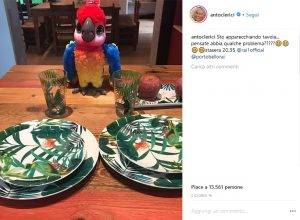 La tavola allestita da Antonella - Instagram
