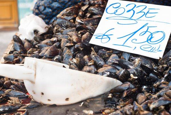 Cozze richiamate, attenzione al lotto ed alla provenienza