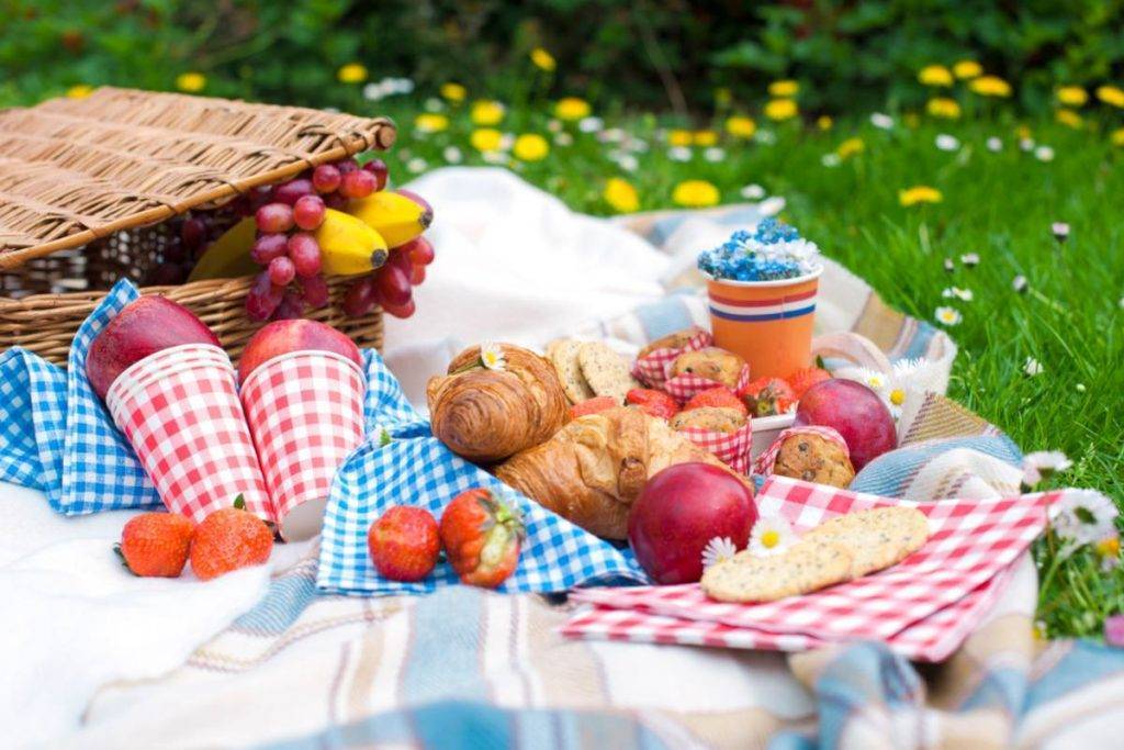 10 dolci veloci e senza cottura da portare per i vostri picnic