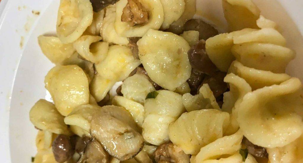 Orecchiette Funghi e Gorgonzola