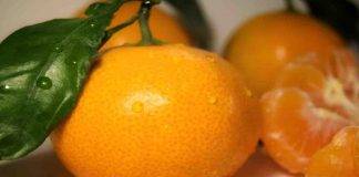 Mandarini no pancia no grassi | ecco quello che dovete sapere