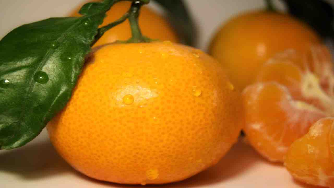 Mandarini no pancia no grassi | ecco quello che dovete sapere
