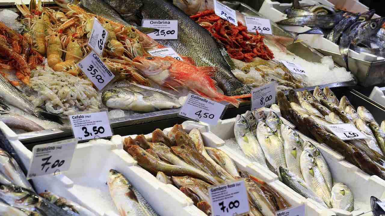 Attenzione al Pesce fresco, come riconoscerlo