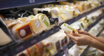 Allarme Listeria formaggio | tutte le info sul batterio