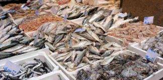 Pesce con calce edilizia orrore in azienda ittica italiana - ricettasprint