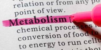Metabolismo | sono cinque i cibi che lo accelerano | e aiutano a bruciare grassi