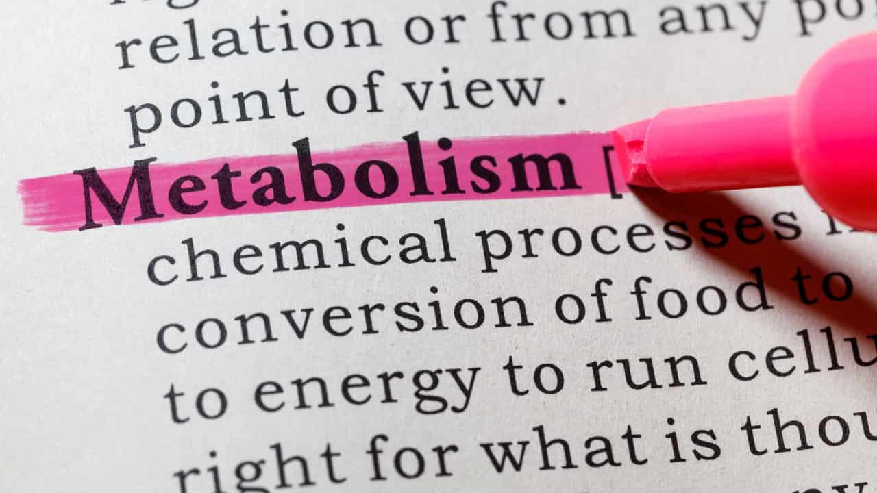 Metabolismo