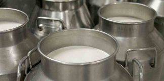 Farmaci nel Latte