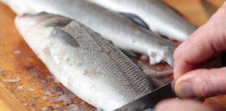 Branzino come pulirlo