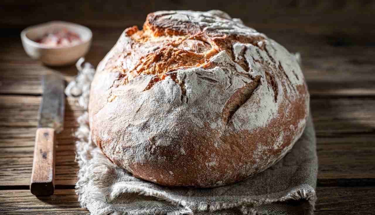 Pane con licoli cotto in pentola - ricettasprint