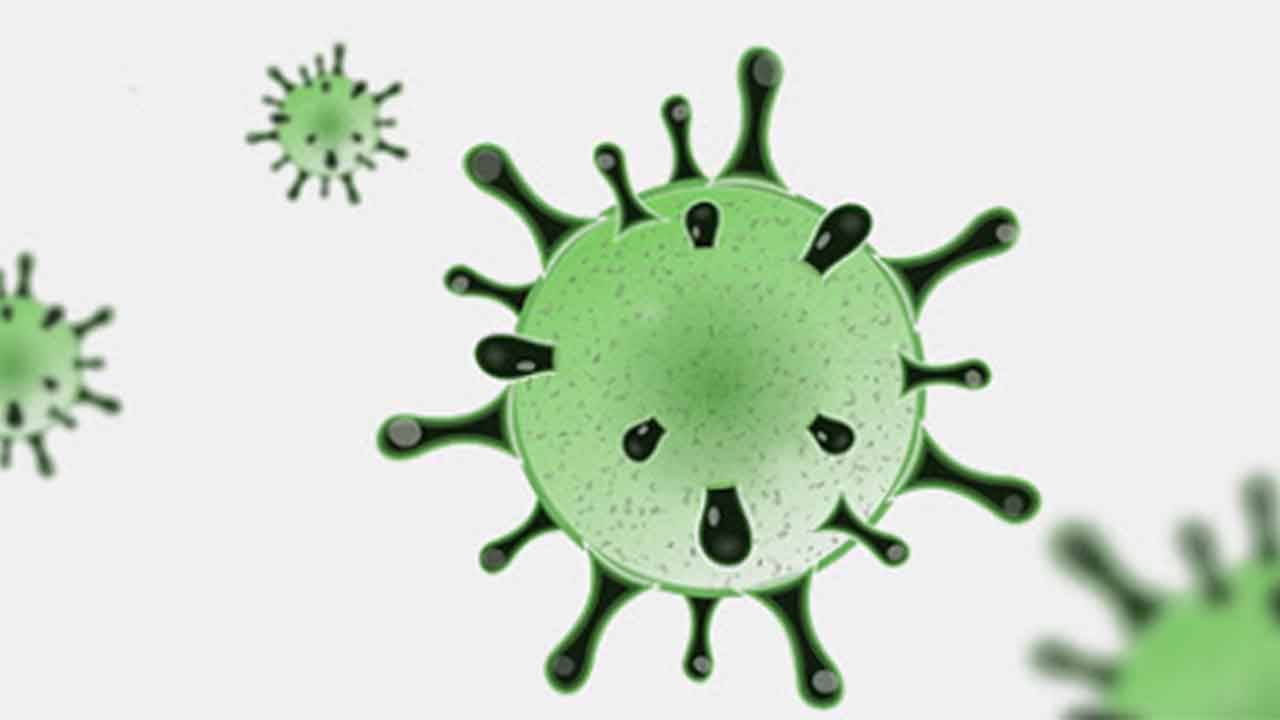 Coronavirus