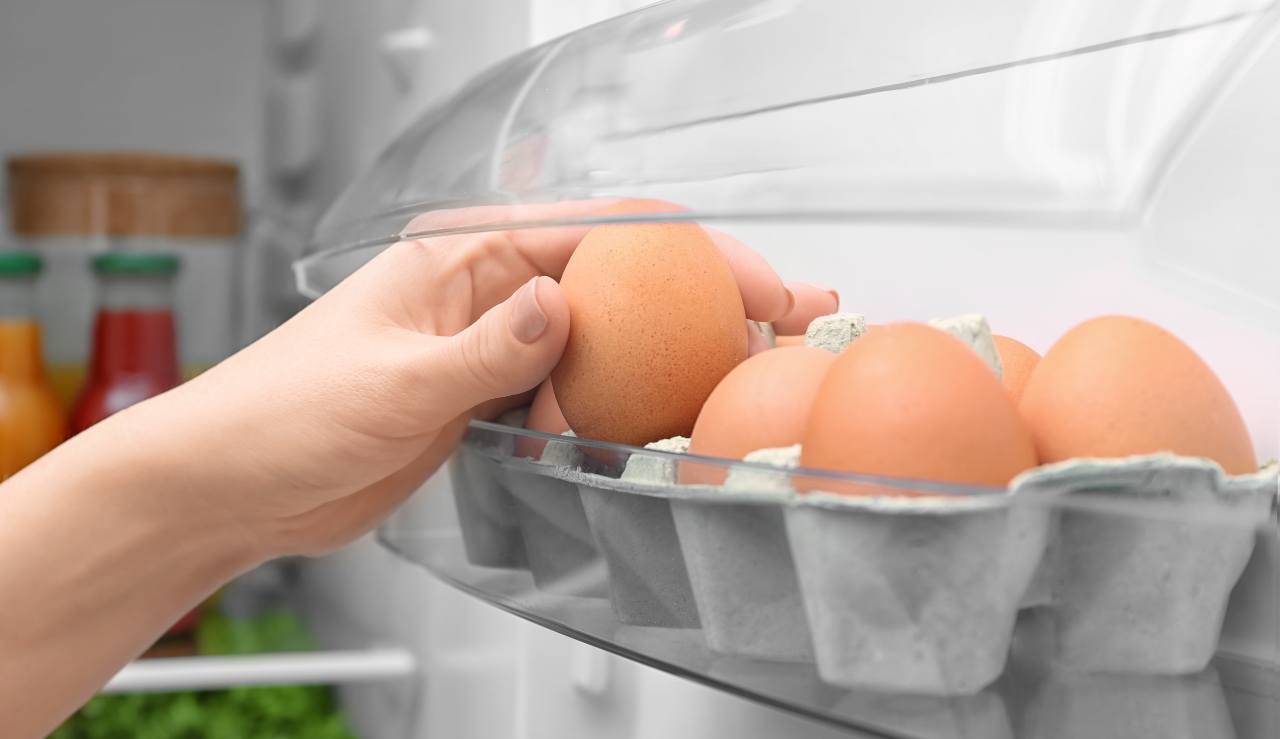 Conservare le uova mai nello sportello del frigorifero attenzione - ricettasprint