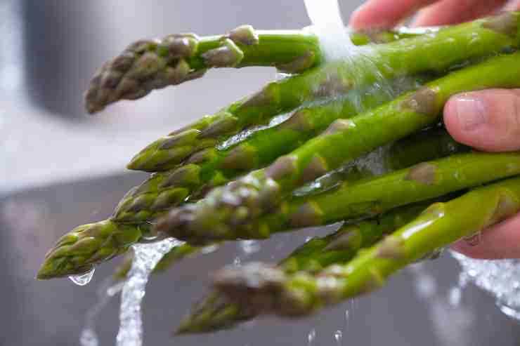bignè alla crema di asparagi e capperi - ricettasprint