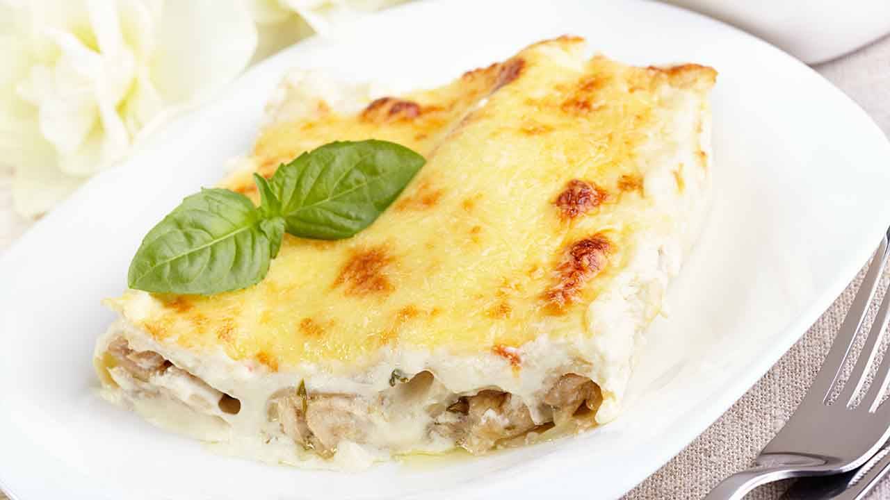 Cannelloni con funghi e taleggio