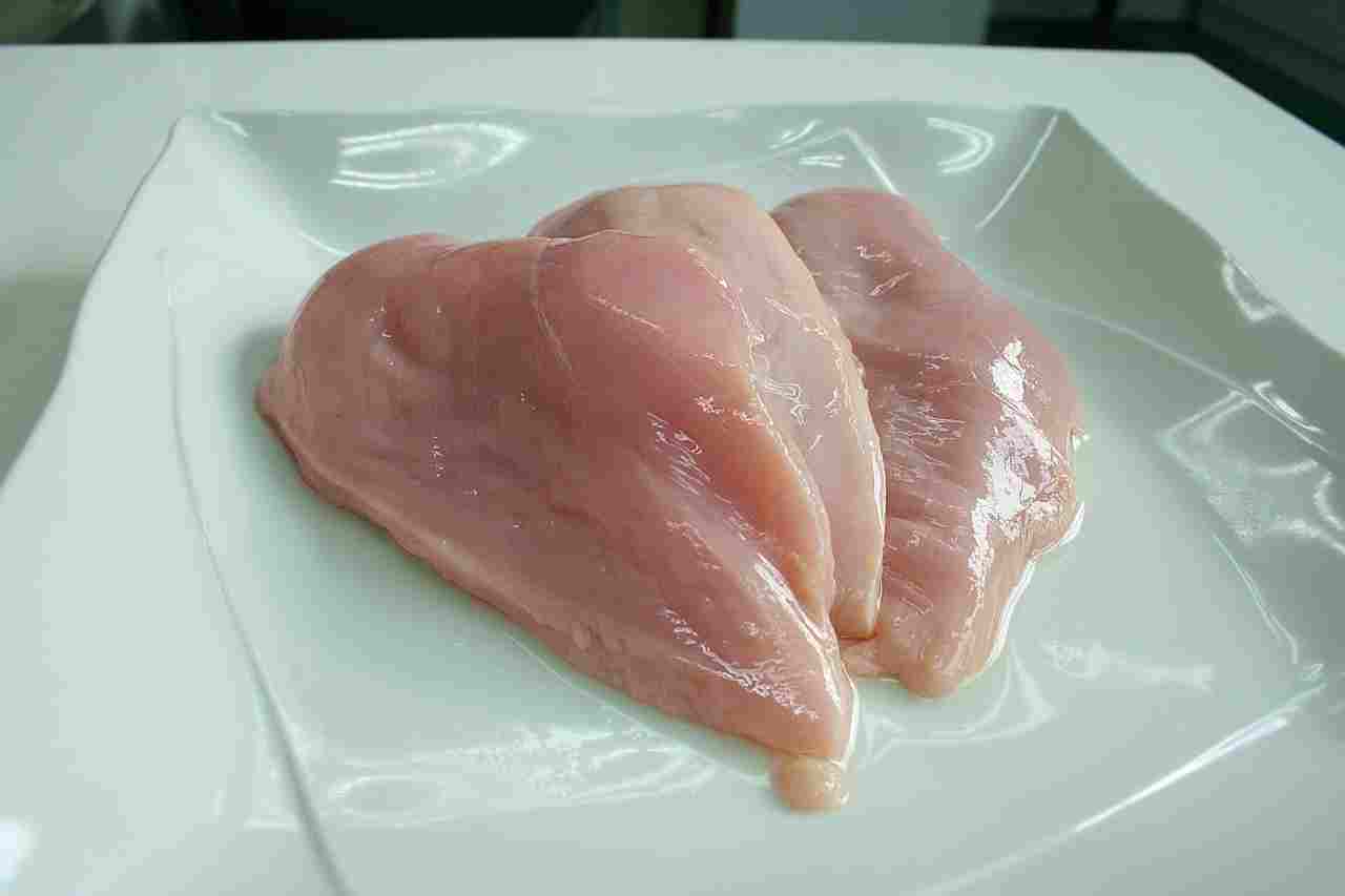 Petto di pollo Salmonella
