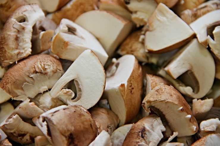 Fregola sarda con pancetta funghi e pecorino - ricettasprint
