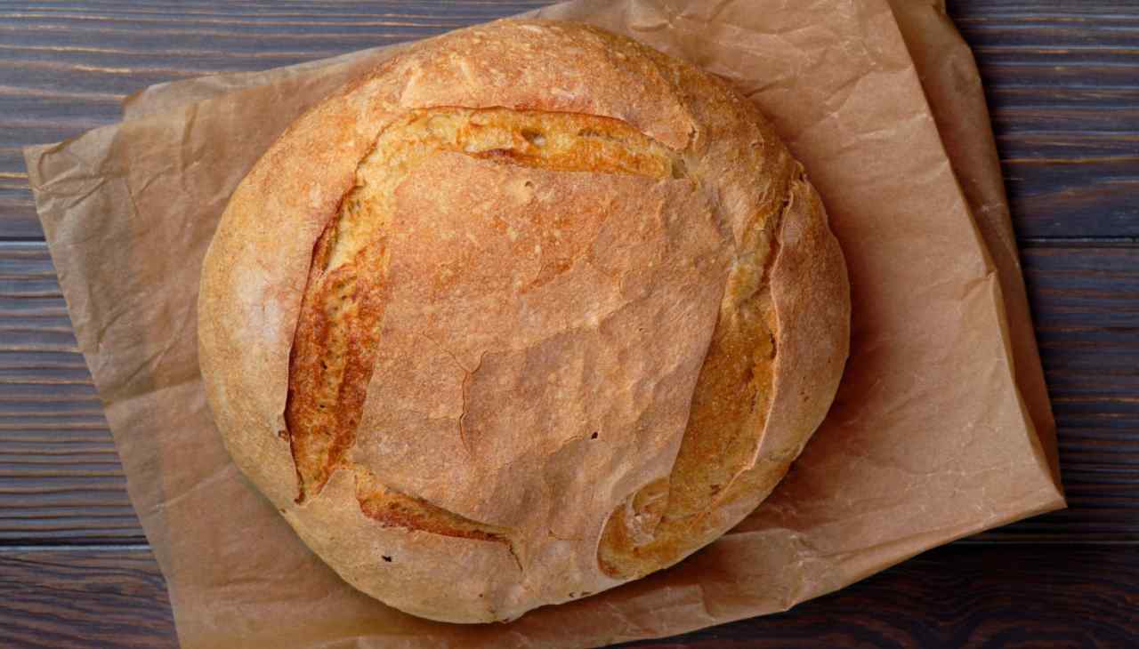 Pane di farina di mais - ricettasprint