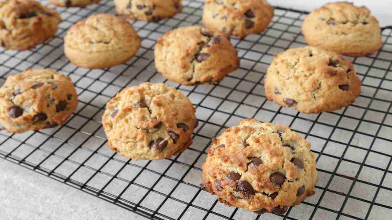 Biscotti Morbidi Al Cocco E Cioccolato Teneri E Golosi Dolcetti