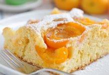 Torta 7 vasetti alle albicocche frullate