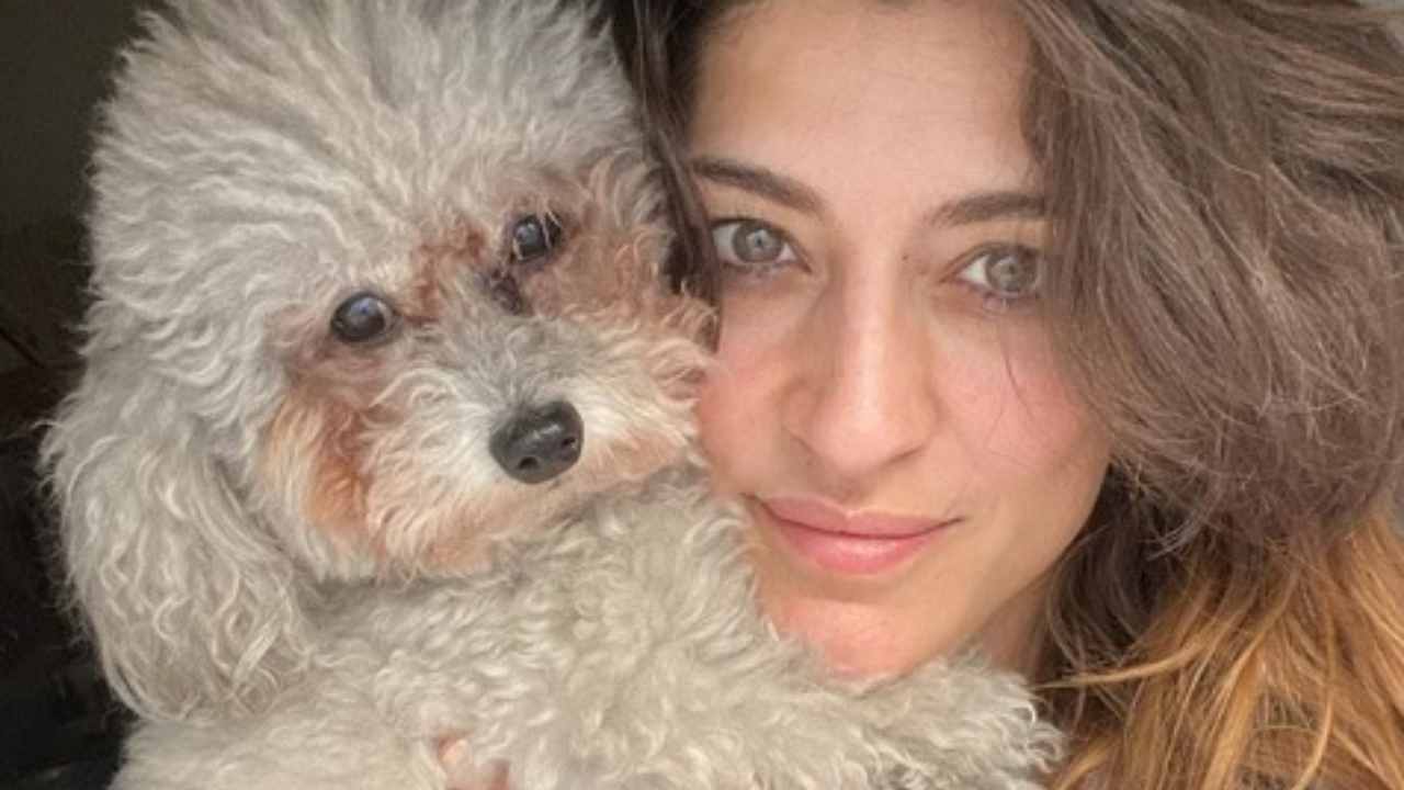 Elisa Isoardi Dichiarazione choc La risposta della RAI ricettasprint