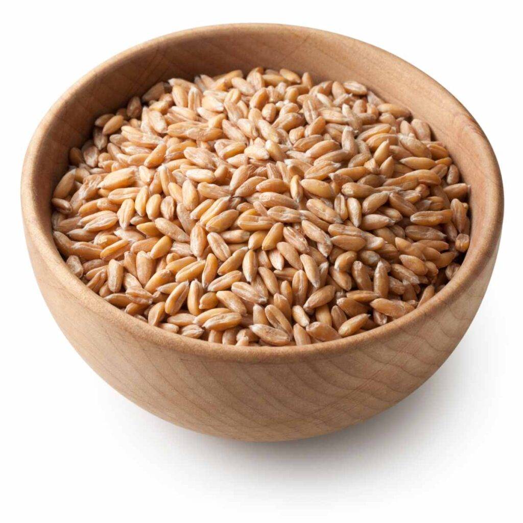 Farro con gamberi e fagiolini