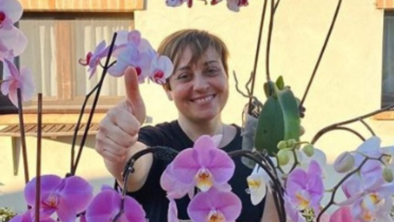 benedetta rossi ritorna sui suoi passi ricettasprint