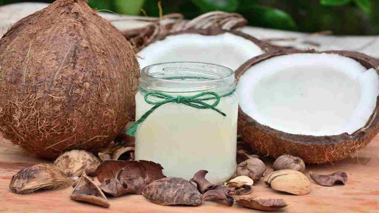 Cocco calorie