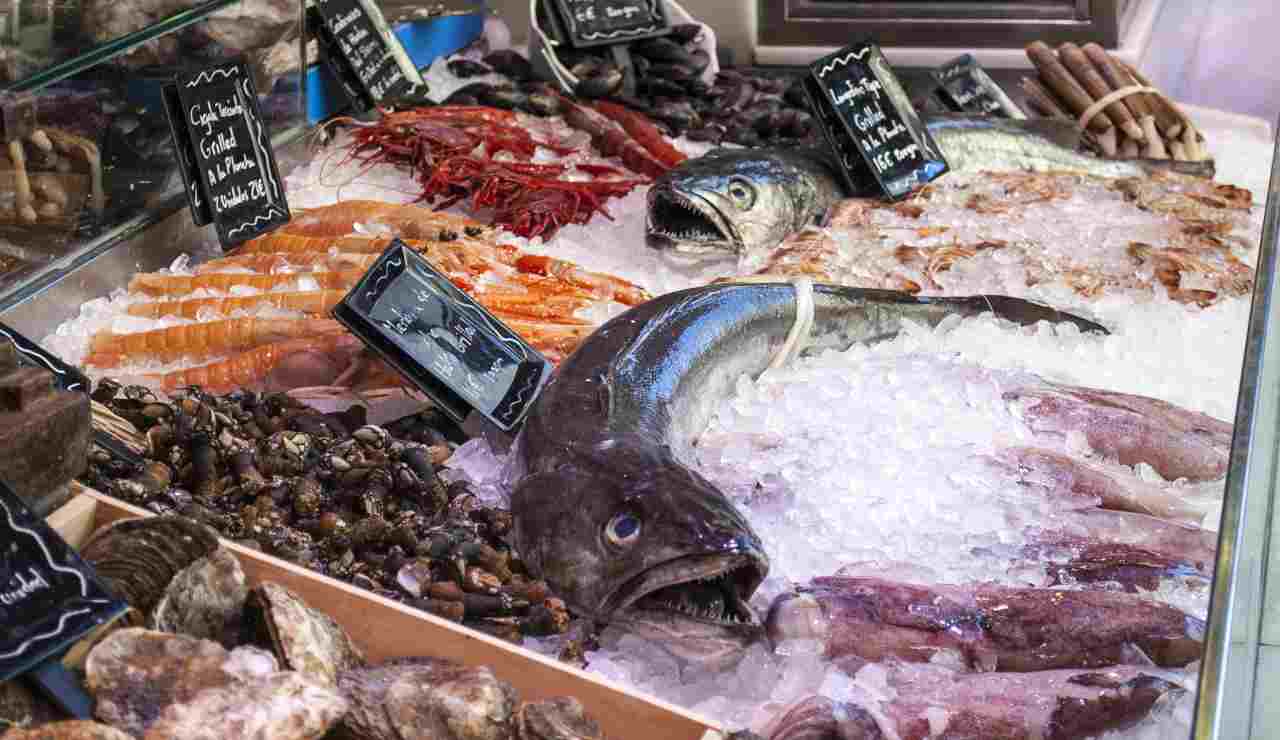 Inquinamento quale pesce è sicuro ricettasprint