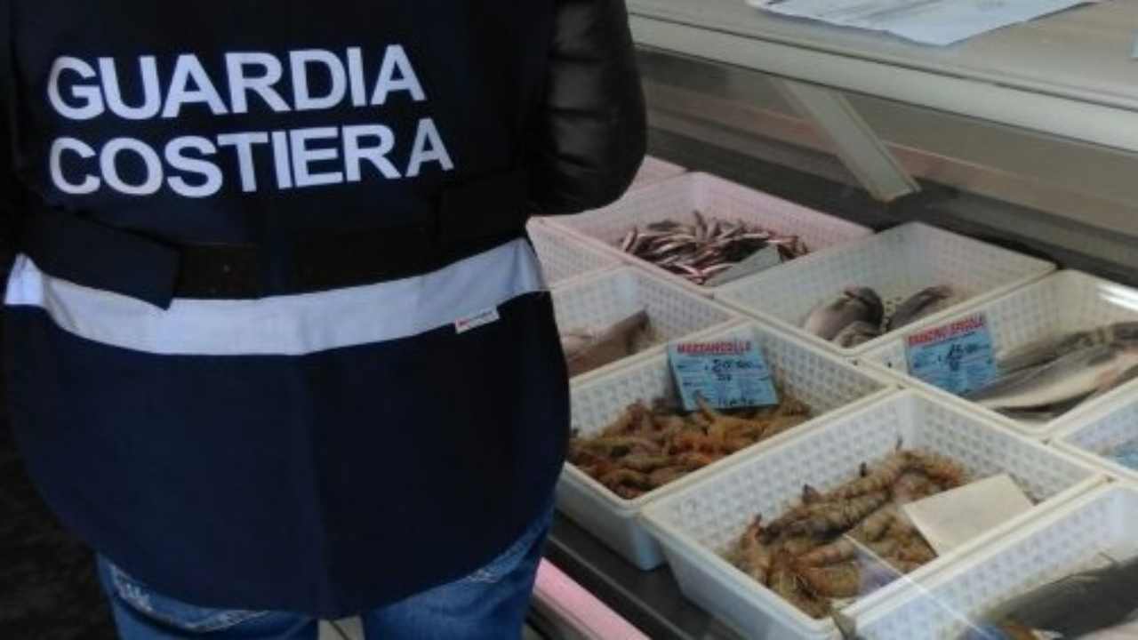 Mercurio nel pesce rasff