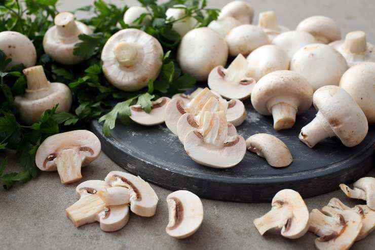 funghi champignon pasta crema parmigiano
