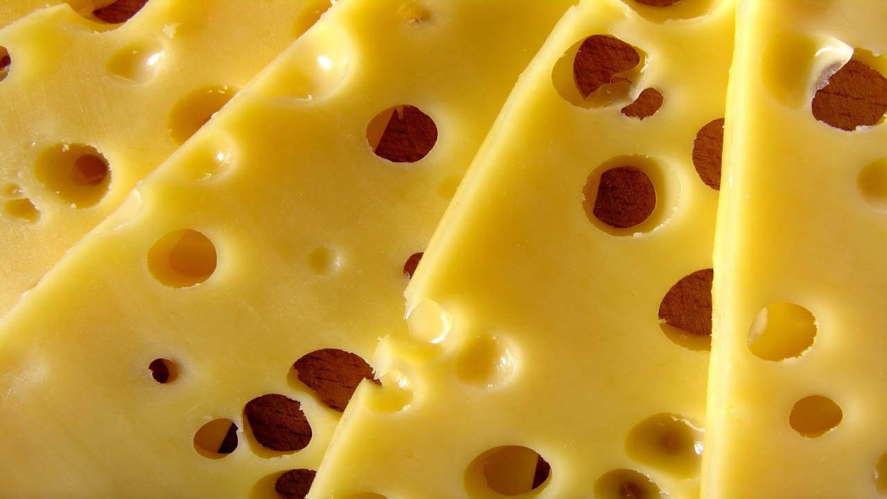 formaggi in genere grassi