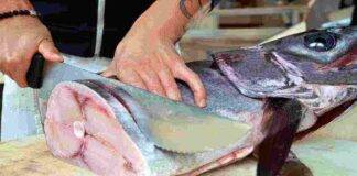 Ritiro alimentare pesce spada mercurio