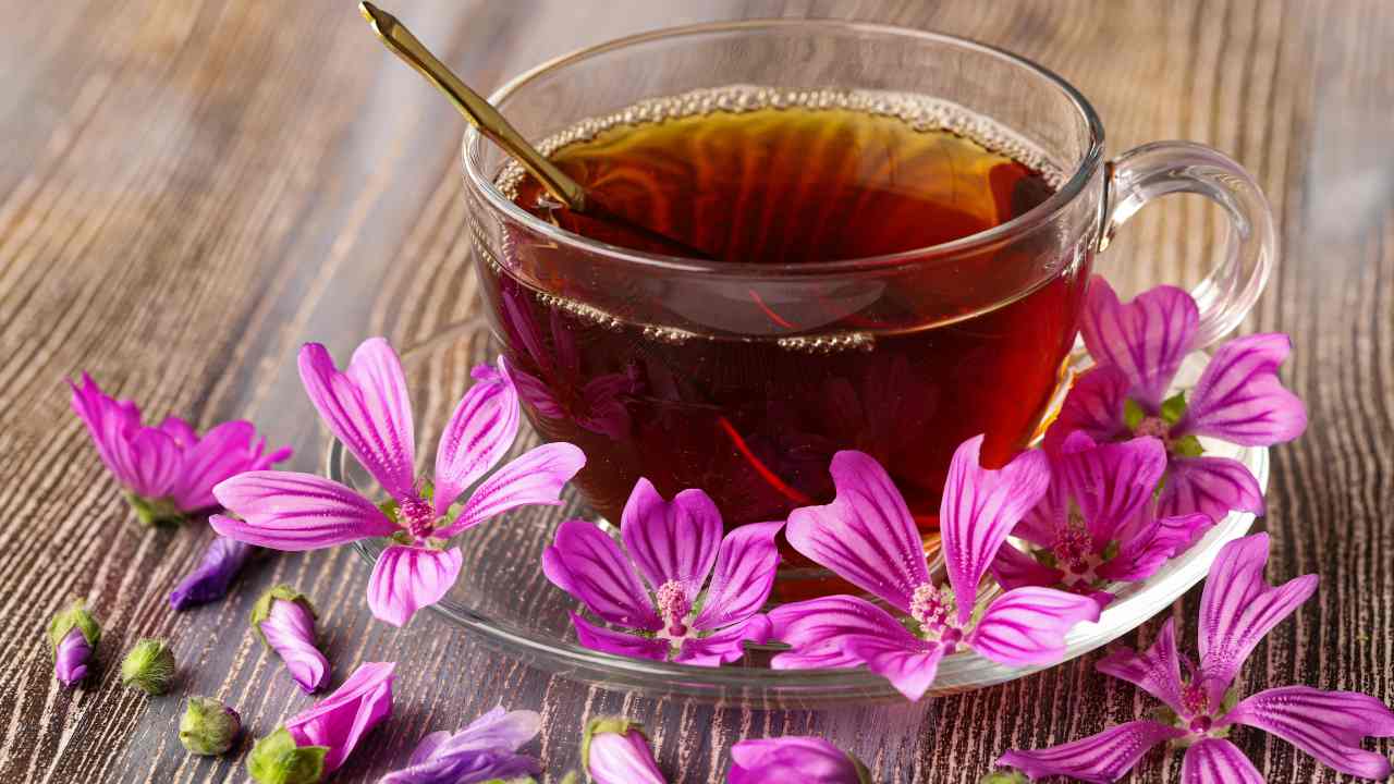 Tisana pelle luminosa  Tutti i benefici di malva e finocchio