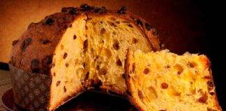 Panettone 2020 la riscossa del Sud ricettasprint