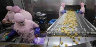 contaminazione da pesticidi