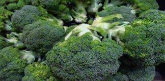 broccoli proprieta