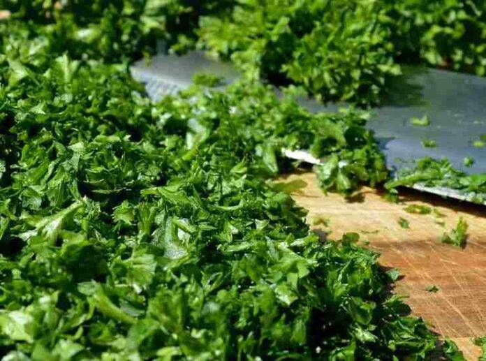 Risotto ai funghi light Facile e eggero senza burro e parmigiano