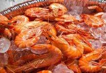 Come riconoscere i gamberi freschi