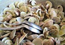 Come spurgare le vongole metodi