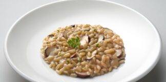 Risotto ai funghi cremoso ricetta