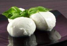 conservare la mozzarella di bufala frigo