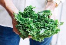 kale cos'è proprietà